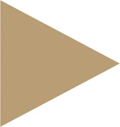 Винтаждық мотоциклдер ARDA